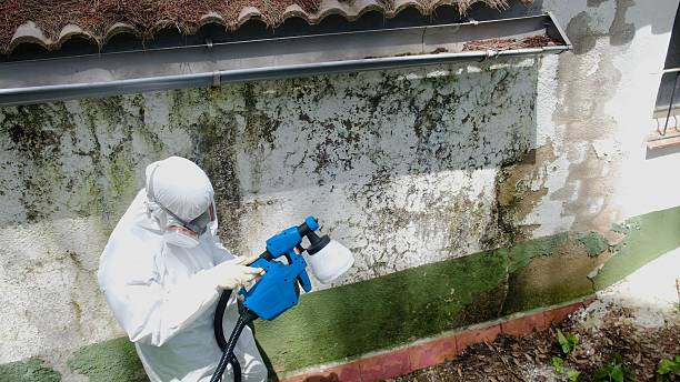 Clearance testing in Cumberland